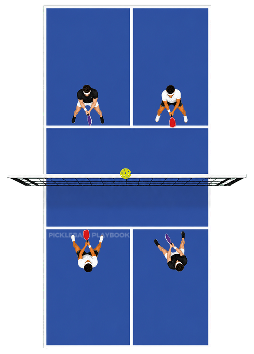 Pickleball court bird's eye view
